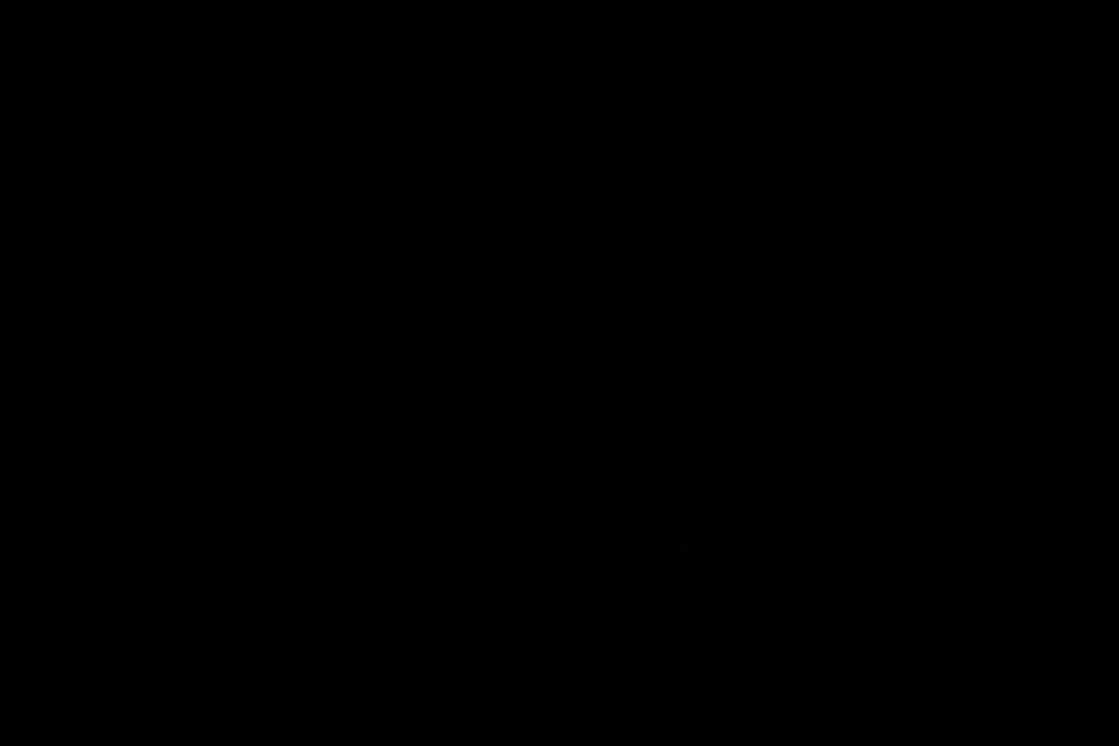 black only background